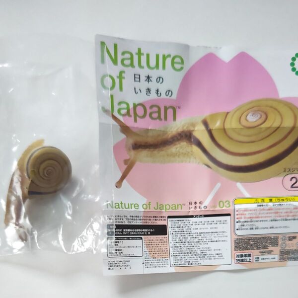 Nature of Japan 日本のいきもの ミスジマイマイ ネイチャーテクニカラー いきもん ガチャ カタツムリ