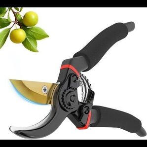 人気庭師推薦・プロ造園士監修 剪定バサミ 剪定鋏 園芸ばさみ SK5高炭素鋼