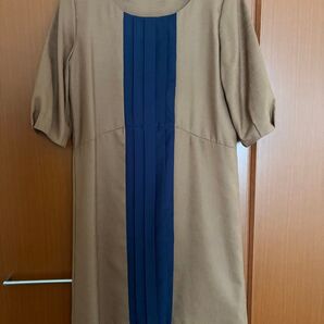 ブラウンページュワンピース フリーサイズ