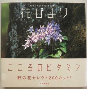 花びより ◆野の花セレクト200カット◆ Yama-Kei Photo Album 【山と渓谷社】