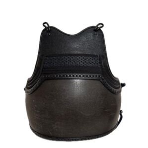 剣道 胴 乾漆 橘塗 オーダー 胴単品 剣道防具 変わり塗