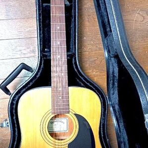 sigmaguitars by C.FMartin/DM12/1ST-N 12弦ギター