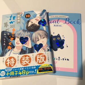 誰か夢だと言ってくれ みっしぇる 10巻特装版小冊子付き BLコミック