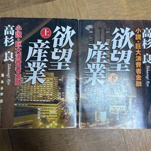 高杉良 小説・巨大消費者金融 欲望産業 上下巻 2冊セット