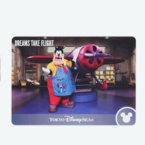 ドリームステイクフライト コレクションカード ピート