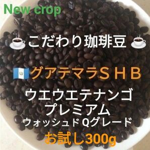こだわり珈琲豆 グアテマラSHB ファンシーS17 中深煎り お試し300g 自家焙煎 Qグレード ウォッシュド