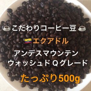 こだわり珈琲豆 エクアドル アンデスマウンテン Qグレード たっぷり500g 中深煎り 自家焙煎珈琲 ウォッシュド リピ割
