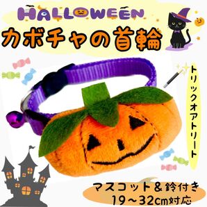 ハロウィンかぼちゃ首輪 猫 犬 ペット首輪