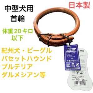 セール♪ 中型犬用 首輪 多脂太丸ロール首輪#4 牛皮革製 日本製 体重20kg以下