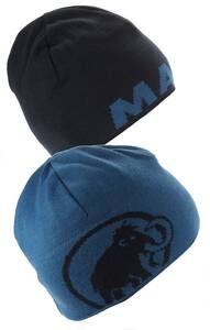 MAMMUT LOGO BEANIE マムート　ロゴ　ビーニー　OS Marine Sapphire　リバーシブル