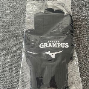 名古屋グランパス 手袋
