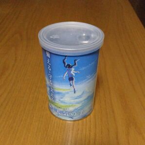 天気の子 ミサワホーム オリジナル カンパン