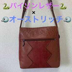 【美品】JRA認定 パイソンレザー × オーストリッチ ショルダーバッグ 茶色 斜め掛け 肩掛け ワンショルダーバッグ
