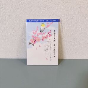 寒中見舞い はがき