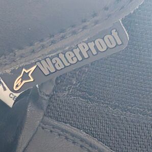 アルパインスターズ