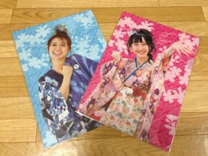 【新品】AKB48大島優子/SKE48松井玲奈 チームZ クリアファイル