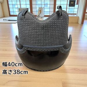 剣道用 胴 黒塗 樹脂製 幅40×高さ38cm 中古品 一点物 早い者勝ち 剣道具 胴単品