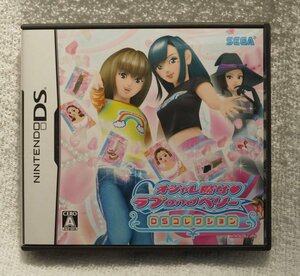 ニンテンドーDS ゲーム オシャレ魔女 ラブ and ベリー ～DSコレクション～