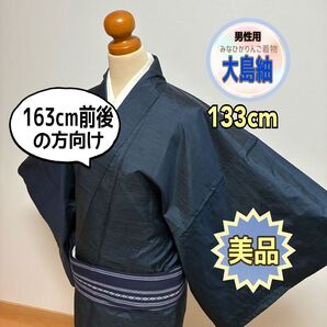 【美品】【キッズ&メンズ大島紬】明るめの紺色 細かい十字絣 粋な男着物 お稽古