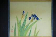 【真作】茶掛　 須磨夏郷　『菖蒲の花』　共箱　佳品　A301ムtr_画像2