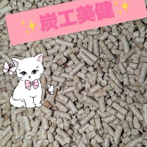 システムトイレ用 猫砂 「きゅうちゃく君」 竹ペレット 消臭力バツグン 天然竹100% 固まらないタイプ