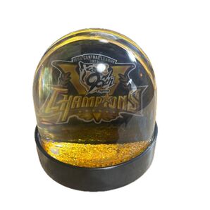 セリーグ優勝記念 阪神タイガース スノードーム かっこいい
