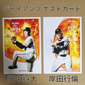 読売巨人軍 ジャイアンツ ポストカード 田中将大・岸田行倫 2枚セット