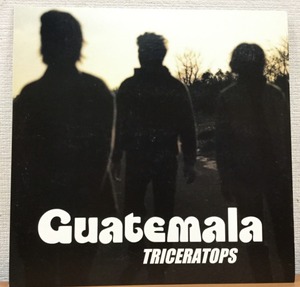 【V139】Triceratops トライセラトップス/Guatemala/SYUM-0094/Epic/10inch
