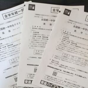 全国統一中学生テスト 全学年統一部門