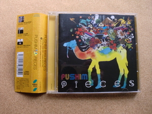 ＊PUSHIM／PIECES（KSCL514）（日本盤）