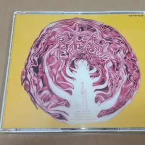 2CD 石川優子 / 愛を眠らせないで~ファイナル・コンサート