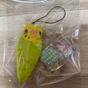 疲れた時は文鳥もみもみマスコット セキセイインコ(緑)