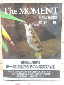 seA/The MOMENT nature. moment Kuribayashi . Nikkei science company 