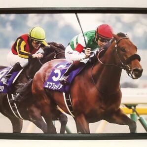 競馬 エフフォーリア パネル 競馬ブック 天皇賞(秋) A4版