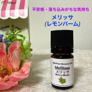 メリッサ(レモンバーム) 上質グレード精油 天然100%エッセンシャルオイル