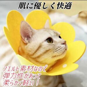 引っ掻き防止 Mサイズ ピンク イエロー オレンジ調節 エリザベスカラー 軽量 猫 ストレス軽減 ネコ ソフト 傷舐め防止