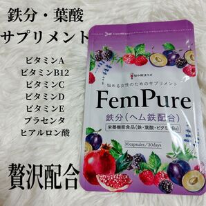 【鉄分 葉酸 美容成分 贅沢配合】ヘムピュア ヘム鉄 鉄分 6.8mg 鉄サプリ サプリメント 美容成分 栄養機能食品 国内製造