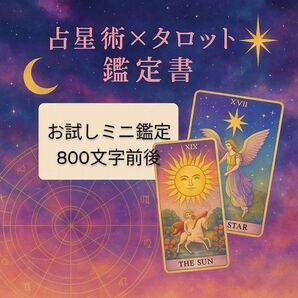 【写真付き鑑定書を送付】お試しミニ鑑定800文字 タロット占い+オラクルカード