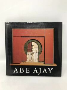 Art hand Auction 『ABE AJAY』 アメリカ現代美術アーティスト 建築的作品, 絵画, 画集, 作品集, 画集