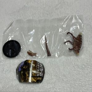 ガチャ 福井県立恐竜博物館監修 恐竜図鑑 スタンドフィギュア フクイラプトル 恐竜