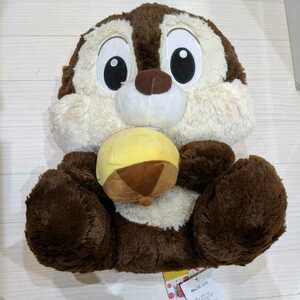  Disney * chip Dale MAX jumbo soft toy acorn keep chip 50cm