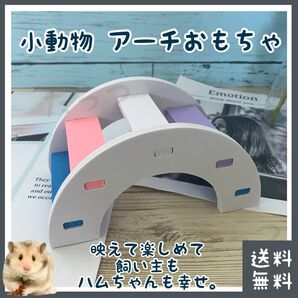 小動物 アーチ型 おもちゃ(■ハムちゃん(ロボロフスキーなどのドワーフハムスター)に■休憩所・遊び場・ハシゴ・梯子■ペット)