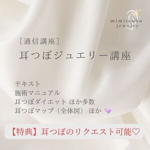 耳つぼジュエリー 通信講座 テキスト+カルテ+マップ全体図+チタン粒/特典(症状別マップの追加)