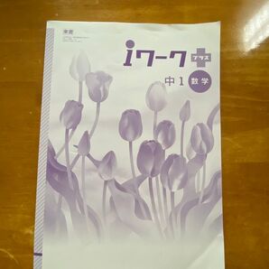 iワーク プラス 中1 数学 ワーク 塾教材