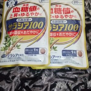 小林製薬 サラシア100 20日分 2個セット 血糖値対策 特定保健用食品