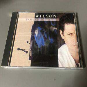 ブライアン・ウィルソン　BRIAN WILSON 国内盤CD