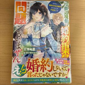 冷徹辺境伯に婚約拒否されましたが、想定内なので問題ございません なのに、溺愛付き永年雇用されるとは予想外です 。