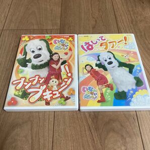 NHKいないいないばあっ~ブンブン ブキューン~ とはしぅてだぁー!セット