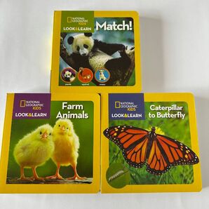 英語絵本National Geographic kids パンダ・蝶 ナショジオ