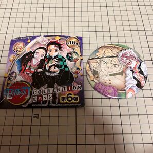 不死川実弥 鬼滅の刃 吾峠呼世晴原画展 コレクション缶バッジ 第6弾